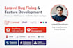 fix laravel website bugs efficiently