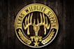 do modern professional high quality deer logo