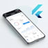 build flutter app with pixel perfect UI and API integration