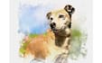 painted your dog into artistic painting