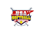 create graceful and fantastic softball logo design