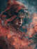 do professional photo manipulation