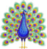 do digitize beautiful embroidery designs quickly and accurately