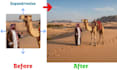 professionally edit your image, sharpen enhance, unblur, expand