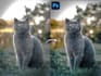 retouch and edit your photos professionally