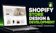 design or develop a professional shopify store that converts