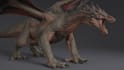 create realistic 3d animal creatures 3d animal animation character rigging