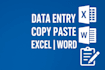 do expert data entry copy past