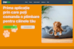 develop a website using HTML, CSS and js in 1 day