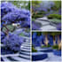 do landscape design, patio, front yard design