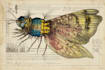 draw a scientific illustration