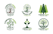 make a custom tree logo