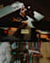 color grade your photos into viral content