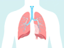 draw detailed medical illustrations