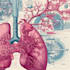 create medical illustrations and diagrams