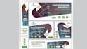 create high converting google display ads and banner ads