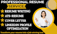 craft a professional job landing resume
