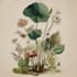 create a botanical illustration