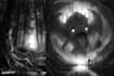 create black and white illustration