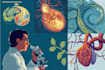 create medical illustrations and diagrams