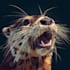 create realistic vector illustration of an animal