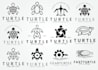 create elegant turtle logo design