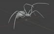 make a 3d animation of your character