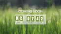 create unique animated countdown timer custom videos