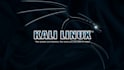 do kali linux cybersecurity labs