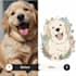 create premium handdrawn pet illustrations print ready