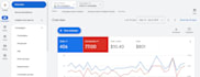 audit and optimize your google ads and  PPC campaigns