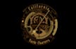 design a custom steampunk logo with metallic and gear elements