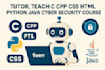 teach c cpp css html python java html cyber security and related courses