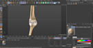 do 3d medical procedural animation and modeling