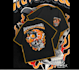 create racing number, racing team logo, car wash
