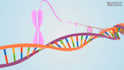 create 3d explainer videos,academic,medical or mechanical