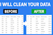 clean, organize, and prepare your data in excel, CSV