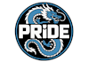 design modern dragon logo