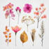 create digital botanical watercolor clipart