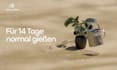 create professional 3d explainer animations