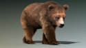 create stunning 3d creatures, realism animal animation, vfx compositing