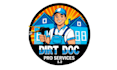 stylish cleanings logo with express delivery
