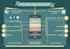 make you an infographic