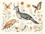 draw animal and botanical illustrations