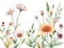 do botanical illustration for you