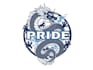 fix, modify, revamp,edit or redesign your existing logo