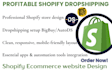 create shopify store dropshipping store shopify redesign shopify design bigbuy
