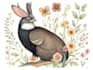 draw animal and botanical illustrations