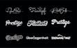 design professional handwritten signature text logo