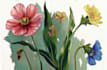 do botanical illustration for you